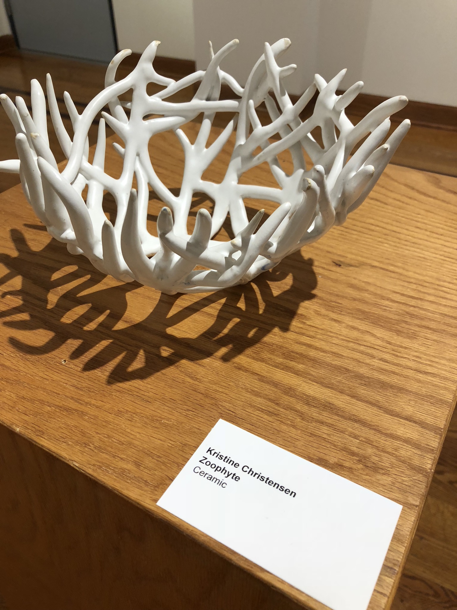 Zoophyte Ceramic